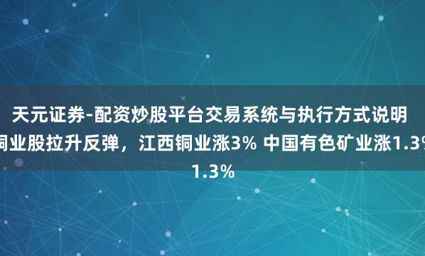 天元证券-配资炒股平台交易系统与执行方式说明 铜业股拉升反弹，江西铜业涨3% 中国有色矿业涨1.3%