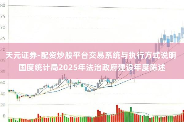 天元证券-配资炒股平台交易系统与执行方式说明 国度统计局2025年法治政府建设年度陈述