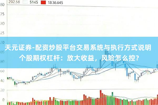天元证券-配资炒股平台交易系统与执行方式说明 个股期权杠杆：放大收益，风险怎么控？